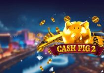 Cash Pig 2